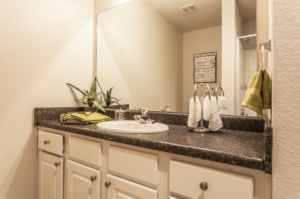 The Carlyle Apartment Homes 1 Bedroom Dining Bathroom
